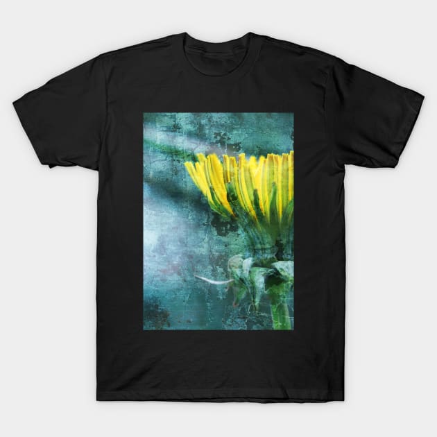 Dandelion distressed T-Shirt by WesternExposure